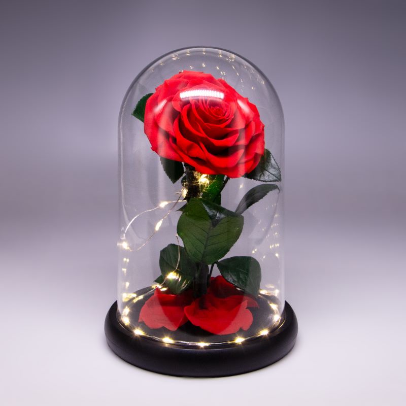 薔薇ドーム 台座黒 LED付き