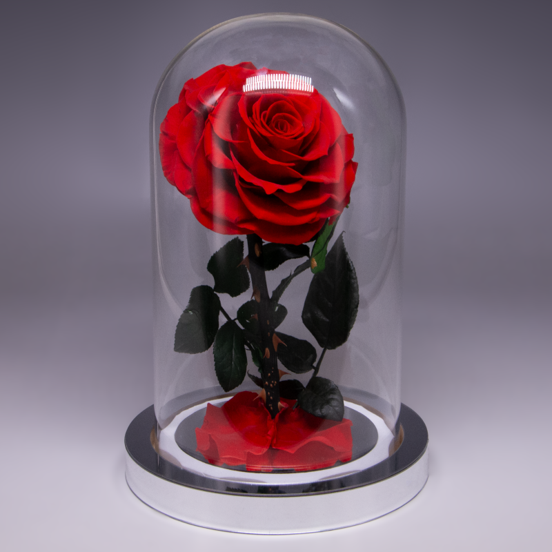 薔薇ドーム 台座シルバー